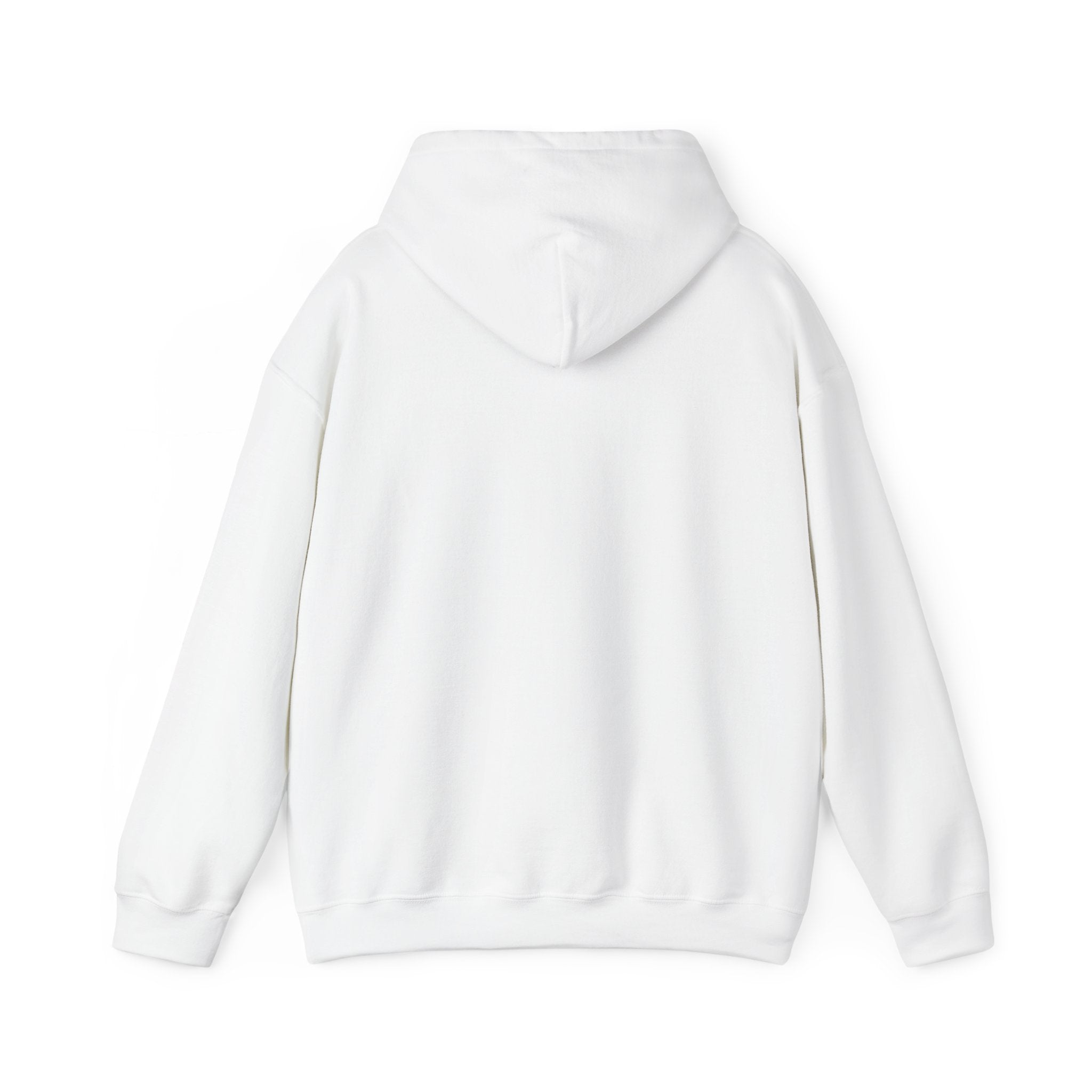 Koi Wave Globe Hoodie | Japanese Streetwear, Sakura & Kanji Graphic